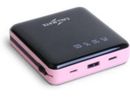 DX-03 10000 mAh Power Bank